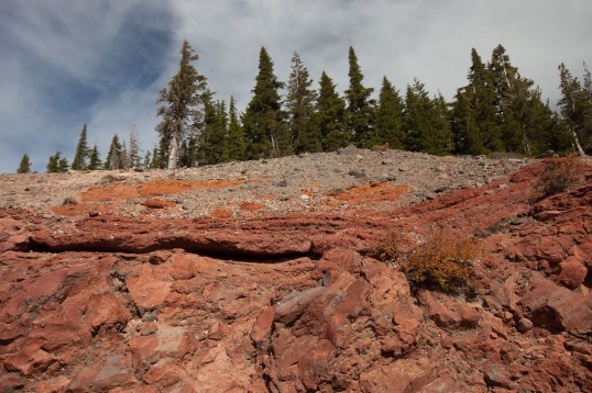 pumice welded onto top of Cleetwood rhyolite flow at Cleetwood Cove.  Note how the base of the pumice is red from oxidation --and forms a ledge because it's so hard.