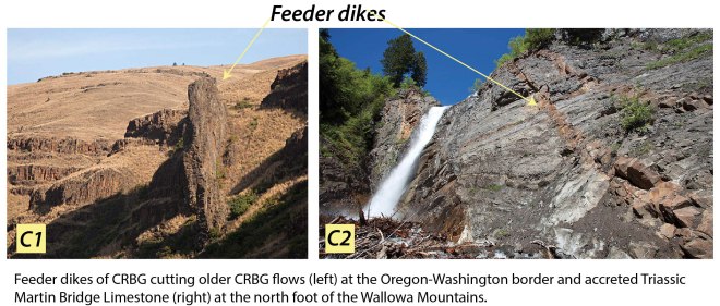 C. Feeder dikes