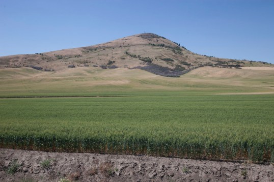 Steptoe Butte, Washington (150703-75)