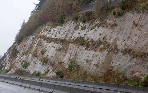 Late Miocene shallow marine Montesano Formation (151107-44)