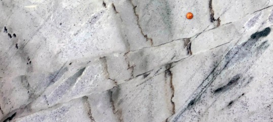 Stylolites offset by faults in quartzite