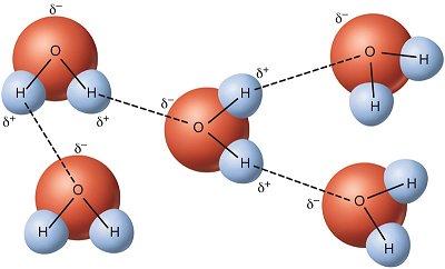 wss-propety-water-molecule-bonding