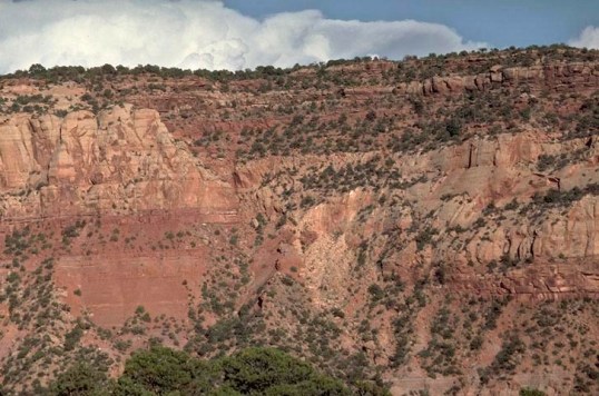Normal fault placing thick-bedded Wingate Sandstone (left) against thin-bedded Kayenta Formation (right)